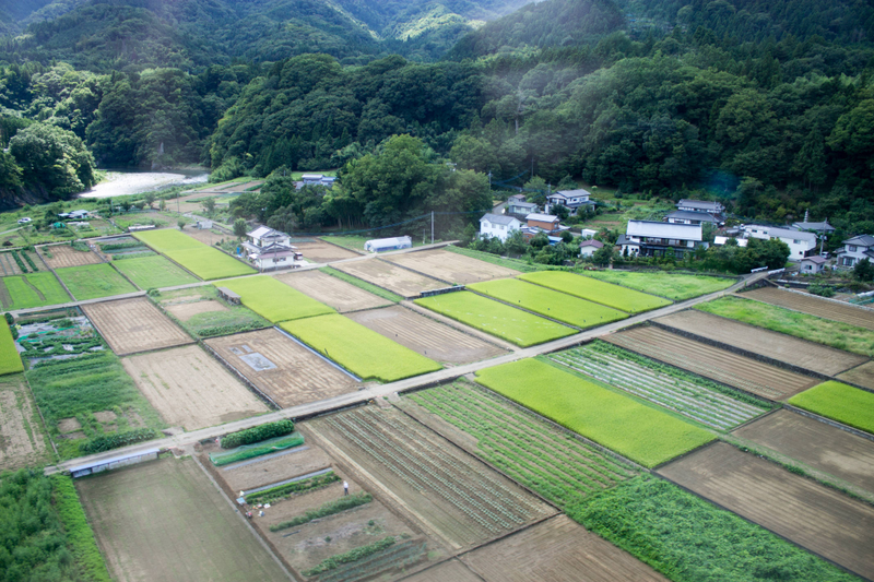Farmland!